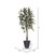 Vickerman 6' Artificial Frosted Maple Tree Gray Round Plastic Container