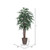 Vickerman 6' Artificial Mango Executive Tree Brown Round Plastic Container