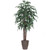 Vickerman 6' Artificial Mango Executive Tree Brown Round Plastic Container
