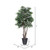 Vickerman 6' Artificial Mini Ficus Executive Tree Gray Round Plastic Container