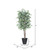 Vickerman 6' Artificial Variegated Ficus Deluxe Tree Gray Round Plastic Container