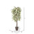 Vickerman 6' Artificial Frosted Maple Deluxe Tree Brown Round Plastic Container