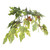 Vickerman 6' Artificial Frosted Maple Deluxe Tree Gray Round Plastic Container
