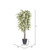 Vickerman 6' Artificial Frosted Maple Deluxe Tree Gray Round Plastic Container