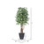 Vickerman 6' Artificial Japanese Maple Executive Tree Gray Round Plastic Container