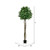 Vickerman 6' Artificial Potted Bay Leaf Topiary
