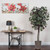 Vickerman 6' Artificial Capensia Tree Brown Round Plastic Container