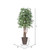 Vickerman 6' Artificial Japanese Maple Executive Tree Brown Round Plastic Container