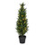 Vickerman 3' Artificial Potted Green Cedar Tree