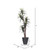 Vickerman 6' Artificial Marginata Executive Tree Gray Round Plastic Container