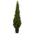 Vickerman 6' Artificial Potted Green Cedar Tree