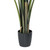 Vickerman 6' Artificial Potted Travellers Palm Tree