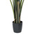 Vickerman 6' Artificial Potted Travellers Palm Tree