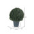Vickerman 20" Artificial UV Resistant Pond Cypress Topiary in Two Tone Green Pot