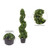 Vickerman 3' Artificial Potted Green Boxwood Spiral Tree