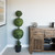 Vickerman 4' Artificial Potted Triple Ball Green Boxwood Topiary