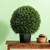 Vickerman 24" Artificial Potted Green Cedar Ball