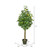 Vickerman 51" Artificial Green and Yellow Real Touch Lemon Tree
