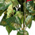 Vickerman 18" Red Poinsettia and Leaf Bush