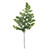 Vickerman 6-10" Oasis Green Fern - Adianthum - Petite Variety 6 stems Preserved