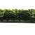 Vickerman 50" Artificial Green Boxwood Mat