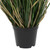 Vickerman 24" Artificial Potted Green Curled Grass