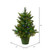  Vickerman A118226LED 24" x 21" Cashmere Pine LED 50MU