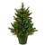  Vickerman A118226LED 24" x 21" Cashmere Pine LED 50MU