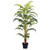 Vickerman TA193559 59" Artificial Fern Palm in Pot