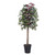Vickerman TEC0360 6ft Artificial Capensia Tree in Pot