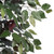 Vickerman TEC0360-07 6ft Artificial Capensia Tree in Pot