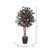 Vickerman TEX0360 6ft Artificial Capensia Tree in Pot