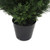 Vickerman TP170684 7ft Artificial Cedar Tree in Pot