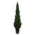 Vickerman TP170684 7ft Artificial Cedar Tree in Pot