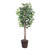 Vickerman TEC0160 6ft Artificial Ficus Tree in Pot