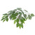 Vickerman TEX0160 6ft Artificial Ficus Tree in Pot
