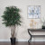 Vickerman TEX4260 6ft Mini Artificial Ficus Tree in Pot