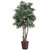 Vickerman TEX4260 6ft Mini Artificial Ficus Tree in Pot