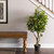 Vickerman TA170701 4ft Artificial Real Touch Orange Tree in Pot
