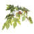 Vickerman TDX1760-07 6ft Artificial Frosted Maple Tree in Pot