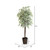 Vickerman TDX1360 6ft Artificial Varigated Smilax Tree in Pot