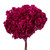 Vickerman 15" Merlot Hydrangea with Multiple Branch Segments