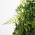 Vickerman 24" Artificial Green Buckler Fern and Grass Wreath