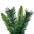 Vickerman A877120 24" Imperial Pine Tree 72 tips