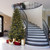 Vickerman A110355 5.5' x 47" Itasca Fraser 1102 Tips