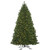 Vickerman 6.5' x 50" Oregon Fir Outdoor Artificial Christmas Tree  Warm White Wide Angle LED Lights