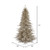 Vickerman 7.5' Champagne Fir Artificial Christmas Tree Unlit