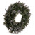 Vickerman 24" Frosted Douglas Fir Artificial UnLit Wreath