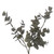 Vickerman 30" Artificial Green Gray Eucalyptus Wreath
