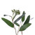 Vickerman 24" Artificial Green Seeded Willow Eucalyptus  Wreath